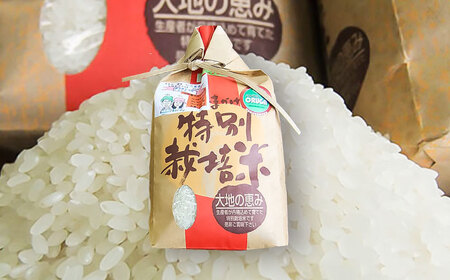 いちじょう 米（品種 にこまる） 精米 2kg 熊本県産 お米[AYAB022]