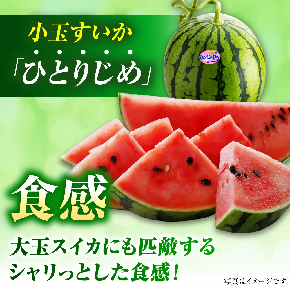 【先行予約】【2027年4月中旬より順次発送】小玉すいか 1玉入（約2.5kg～3kg） スイカ[AYAB023]