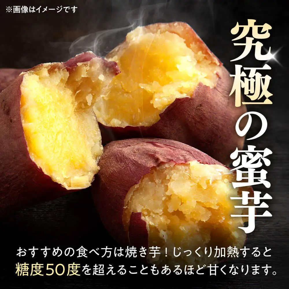 紅はるか さつまいも 秀品 約10kg S?2Lサイズ混合 さつまいも[AYAT005]