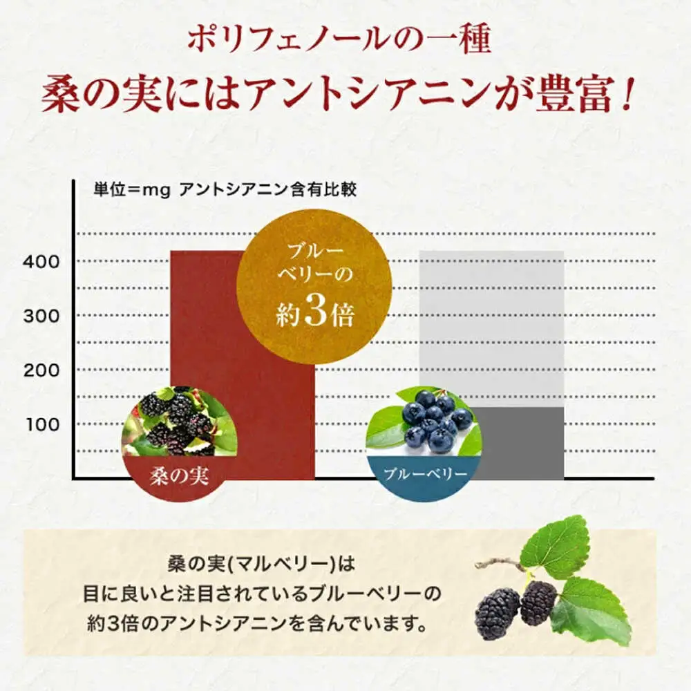 桑の実 ワイン （甘口） 500ml×1本 ワイン[AYBM003]