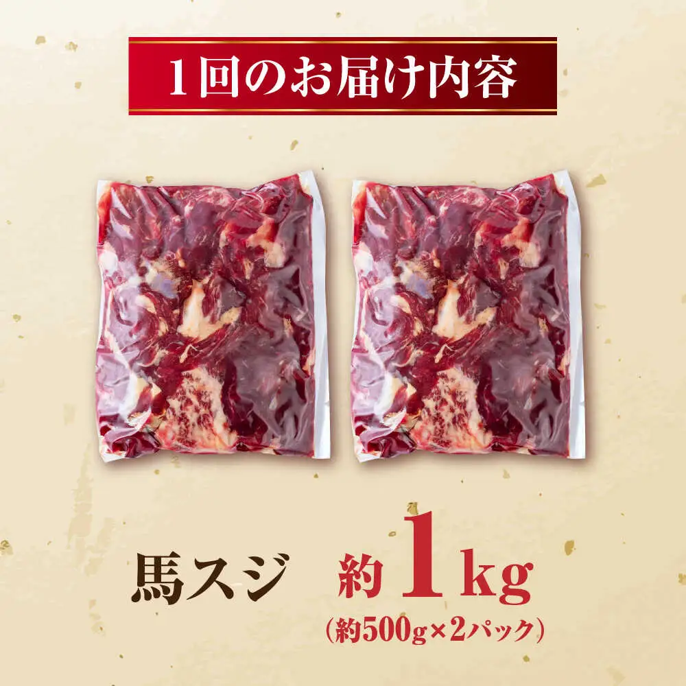 【全12回定期便】 馬スジ 計12kg 1回あたり1kg（500g×2パック） / 馬肉 スジ 筋 煮込み 冷凍[AYBV015]