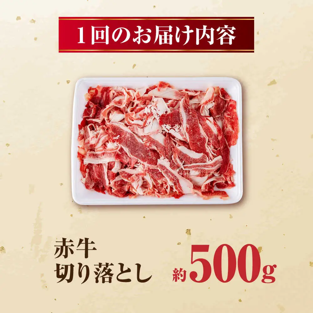 【全12回定期便】 赤牛 切り落とし 500g /牛肉切り落とし 和牛 熊本県産 冷凍[AYBV016]