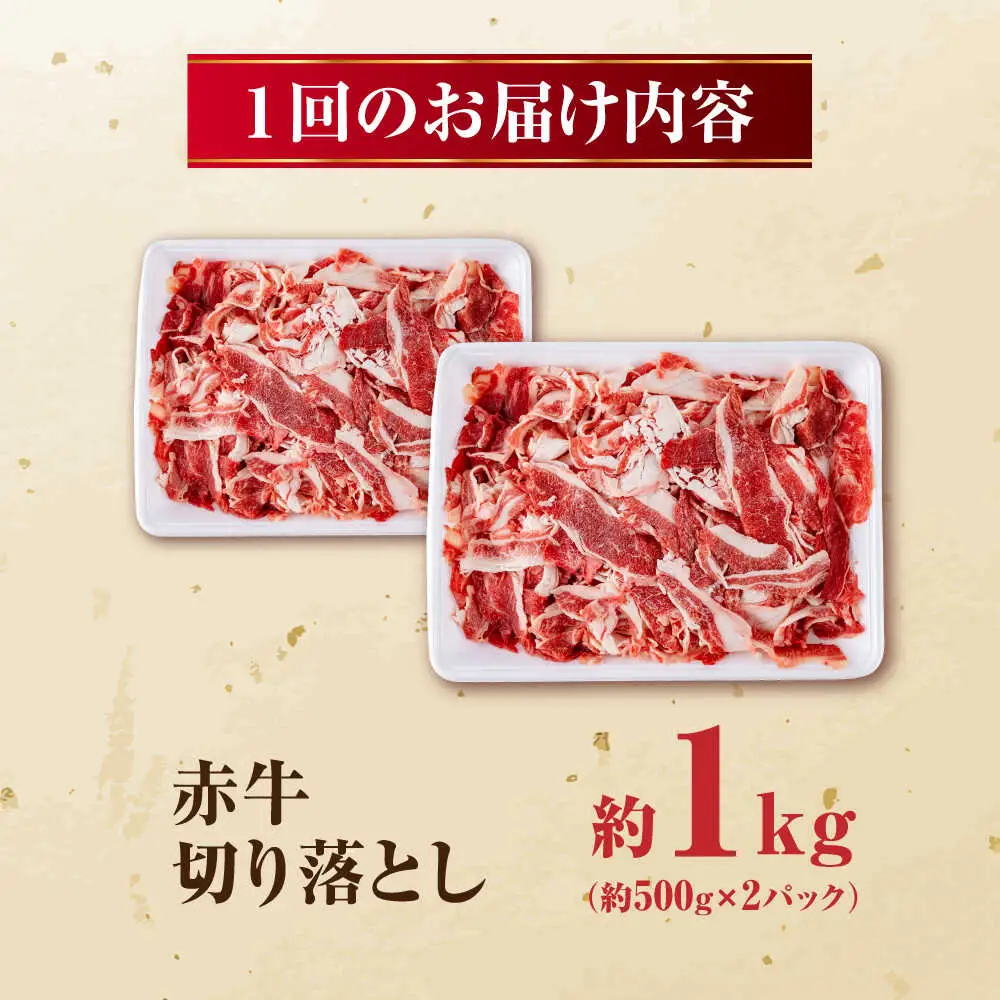 【全12回定期便】 赤牛 切り落とし 1kg（500g×2パック） / 牛肉切り落とし 和牛 熊本県産 冷凍[AYBV036]