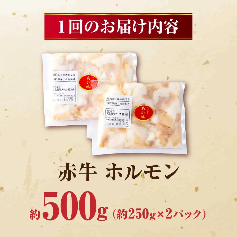 【全12回定期便】 赤牛 ホルモン 500g（250g×2パック） / 小腸 シロホルモン もつ 熊本県産 冷凍[AYBV039]