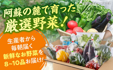 令和8年熊本地震復興支援 旬の野菜おまかせ詰め合わせセット 8〜10品目 野菜 [AYCA001]
