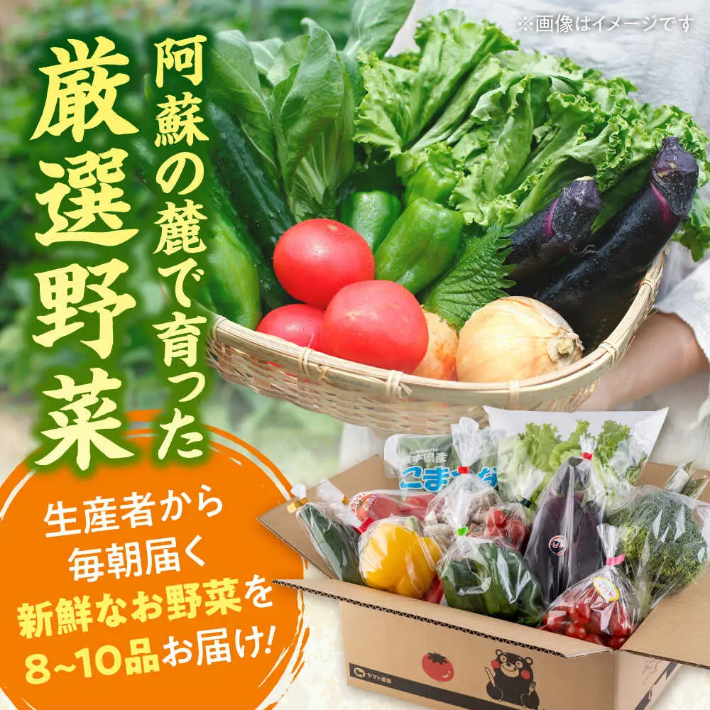 【全3回定期便】旬な野菜おまかせ詰め合わせセット 野菜 [AYCA003]