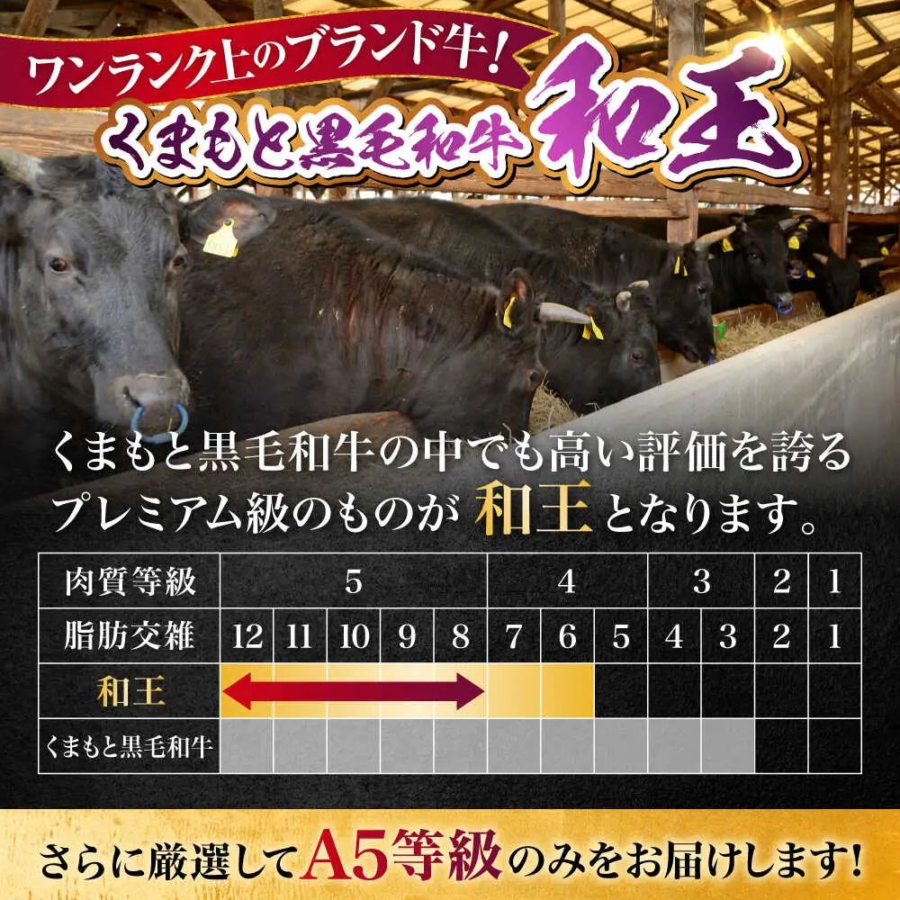熊本県産 A5等級 黒毛和牛 和王 モモ ステーキ 約150g×2P 計約300g ステーキ 牛肉[AYCH002] 