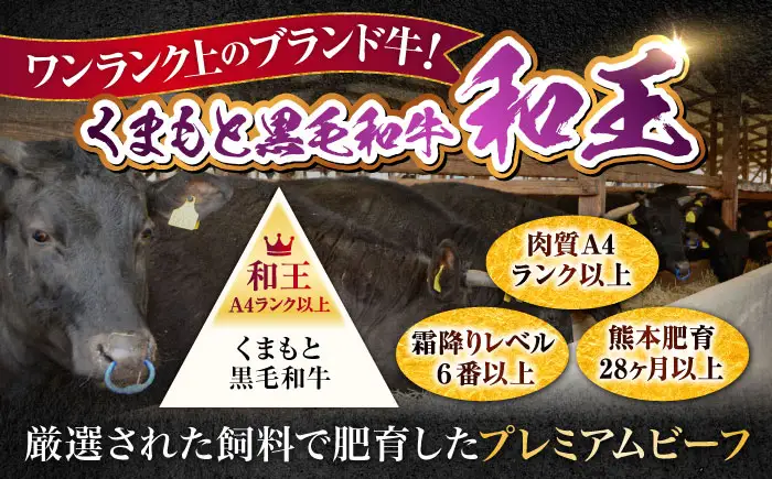 【全12回定期便】 熊本県産 A5等級 黒毛和牛 和王 モモ ステーキ 約150g×2P 計約3.6kg モモステーキ  [AYCH074]