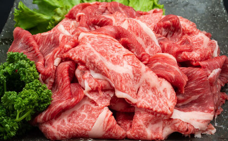 【全10回定期便】熊本県産 黒毛和牛 和王 1頭分  牛肉 牛肉 牛肉 牛肉 牛肉[AYCH080]