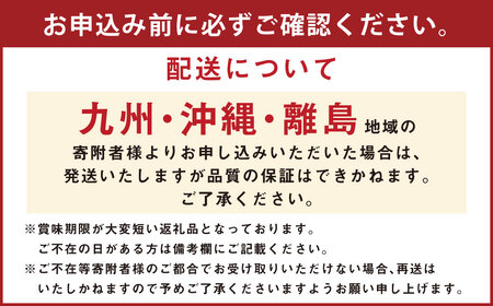 大玉 赤肉 メロン 2玉 詰め合わせ （1玉 1.7kg以上）果物 フルーツ めろん 赤肉メロン 北海道 浦臼町 【2027年7月下旬~8月上旬迄発送予定】