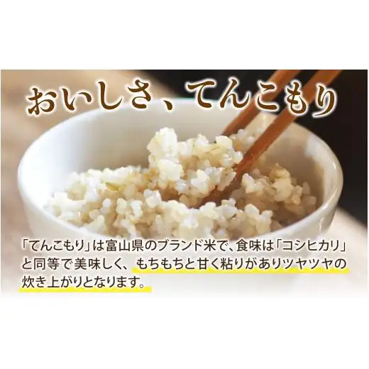 25年10月中旬以降順次発送　玄米  5kg 富山県滑川産「てんこもり」与文のお米 / 産地直送 袋 ブランド米 お米 白米 ご飯 ごはん 富山 滑川市 アグリめぐみ [A-050003]