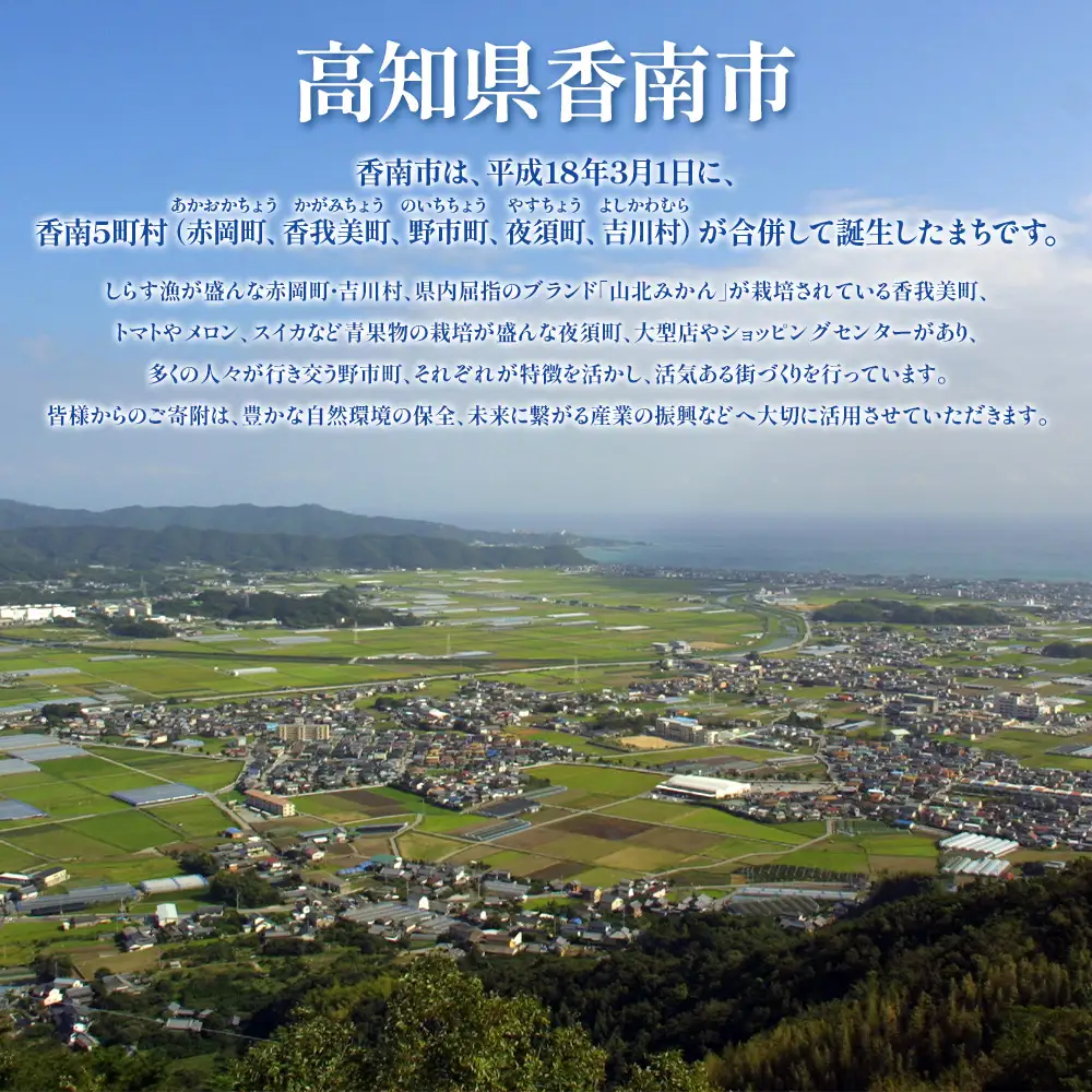 寄附のみの応援受付(返礼品はございません) 高知県 香南市 返礼品なし 寄付 ky-02