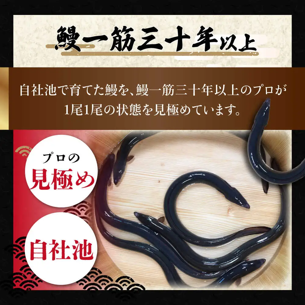 【ご贈答用】 桐箱入り高知焼き 高級 鰻 蒲焼2尾 〈熨斗対応可能〉 / うなぎ 鰻蒲焼き ウナギかば焼き 贈答 【鰻HASHIMOTO】 [ATDX003]