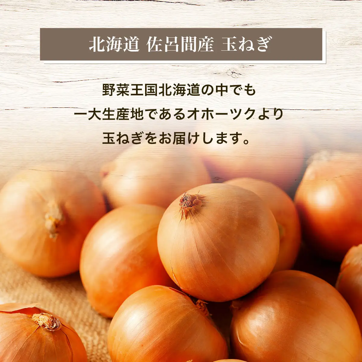 玉ねぎ 10kg 北海道 佐呂間産 （2026年10月出荷開始先行予約） SRMM019