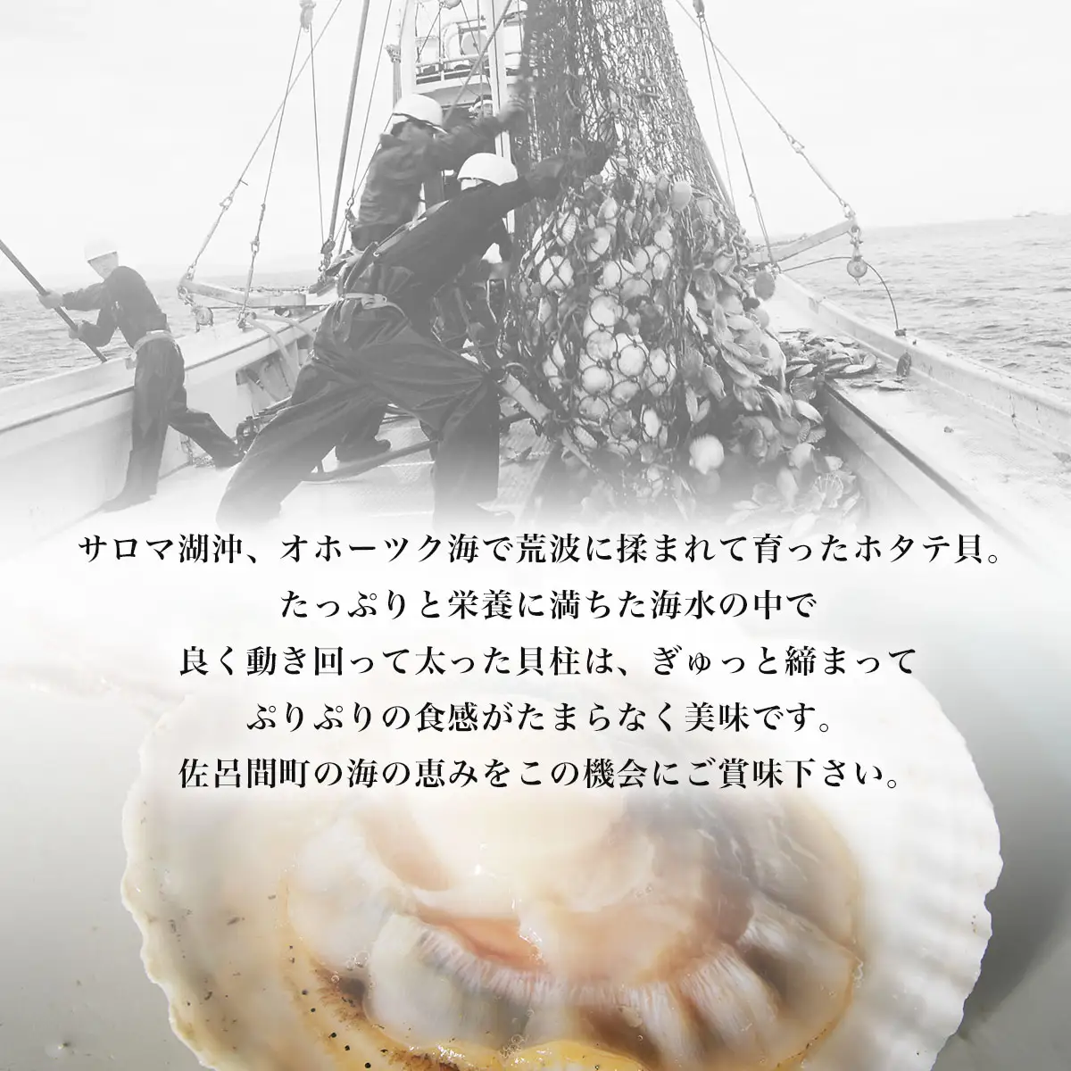 オホーツク産 『活』 ほたて 4kg（17～24枚） SRMN015