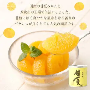 缶詰 甘夏みかん缶詰（全粒）12缶入 007-029