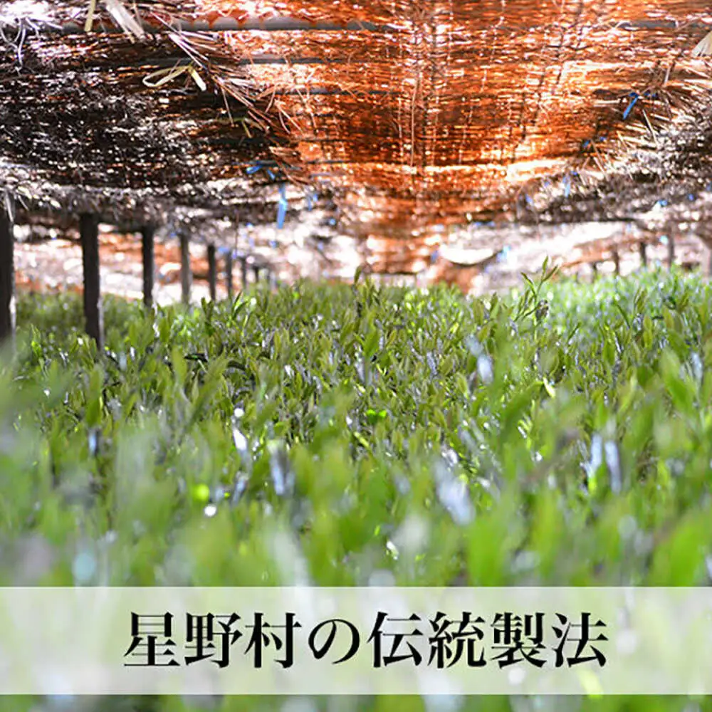 八女抹茶 妙見の里 濃茶用 20g [BGAA024] 抹茶