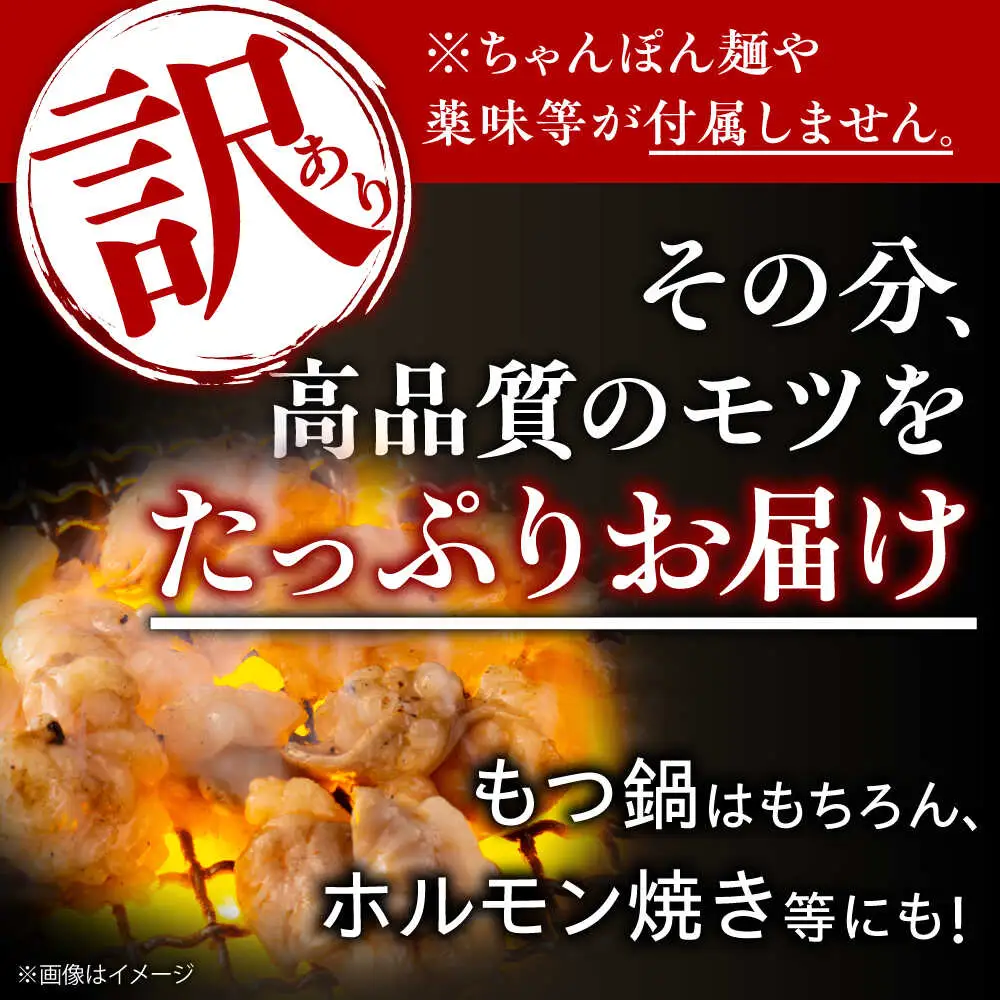 【訳あり】博多醤油もつ鍋 10人前[BGAB003] 訳あり