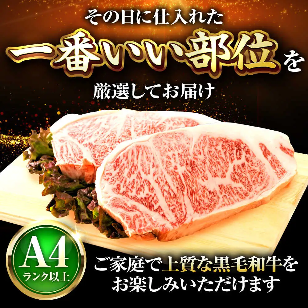 博多和牛 サーロイン ステーキ 250g×2枚 [BGAB012]さーろいん ステーキ