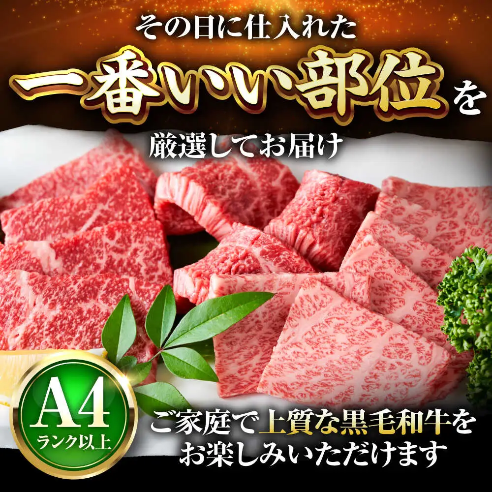 【A4~A5】博多和牛 焼肉用 500g[BGAB064] 博多和牛