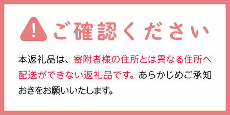 森永製菓 おいしい青汁 125ml 24本 セット 機能性表示食品 青汁飲料 飲みやすい 食物繊維 森永製菓 おいしい青汁 125ml 紙パック 24本 青汁 飲みやすい 食物繊維 野菜不足 機能性表示食品 飲料 山梨県 北杜市 [h320]