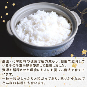 【新米先行予約】令和8年度産 キヌヒカリ 5kg こだわり堆肥のもーもー米 お米 米 こめ コメ ごはん 白米 朝食 こだわり おすすめ おいしい 減農薬 京丹波町産 京都府産 