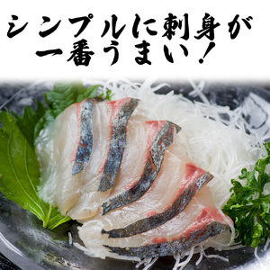 （冷凍）国産 養殖 シマアジ 400g ／ 長栄丸 ふるさと納税 短冊 刺身 簡単調理 高級食材 縞鯵 島鯵 三重県 大紀町