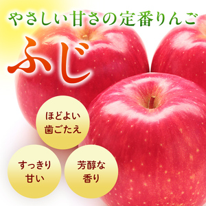 ＜先行予約＞福島県産 甘い りんご ふじ 5kg （12玉～20玉） リンゴ フルーツ 果物 F6Q-289