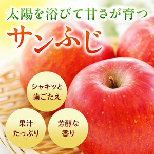 ＜先行予約＞福島県産 家庭用 りんご サンふじ 10kg （24玉～40玉） リンゴ フルーツ 果物 F6Q-292