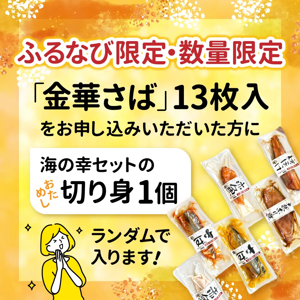 【プラスワン企画】さば 金華サバ 半身13枚 無塩 鯖