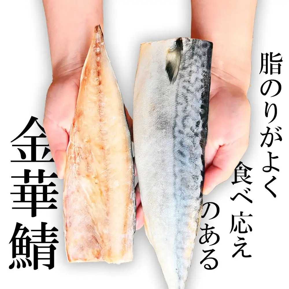【ふるなびWEEK対象】金華さば半身6枚 無塩 バラ凍結