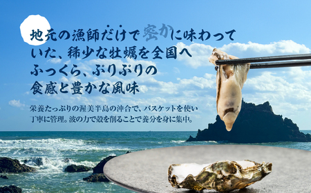 【先行予約】殻付き 生牡蠣 5kg 加熱用 軍手・牡蠣ナイフ付 牡蠣 カキ かき 生 殻付牡蠣 フライ 鍋 バーベキュー BBQ 海鮮 魚介 魚貝 貝 魚介類 新鮮 渥美半島 田原市 愛知県 国産 海産物 オイスター 海の ミルク 軍手 牡蠣 ナイフ 付 冬 - 春