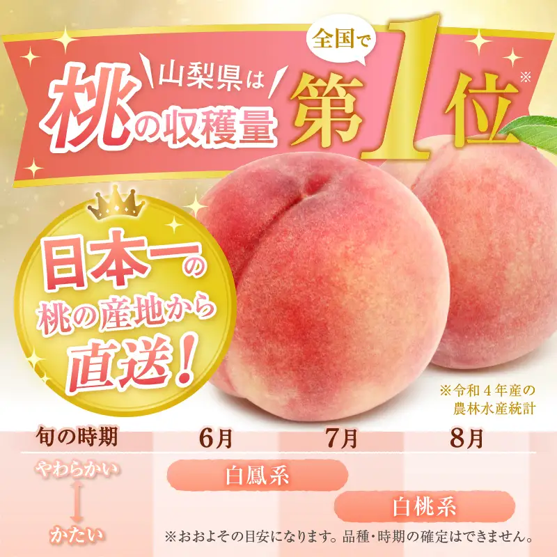 【定期便】甲州市産厳選旬の大玉桃約2kg 2年定期便【2025年・2026年発送】（MG）C-485 【桃 もも モモ 令和7年発送 令和8年発送 期間限定 フルーツ 果物 山梨県産 甲州市】