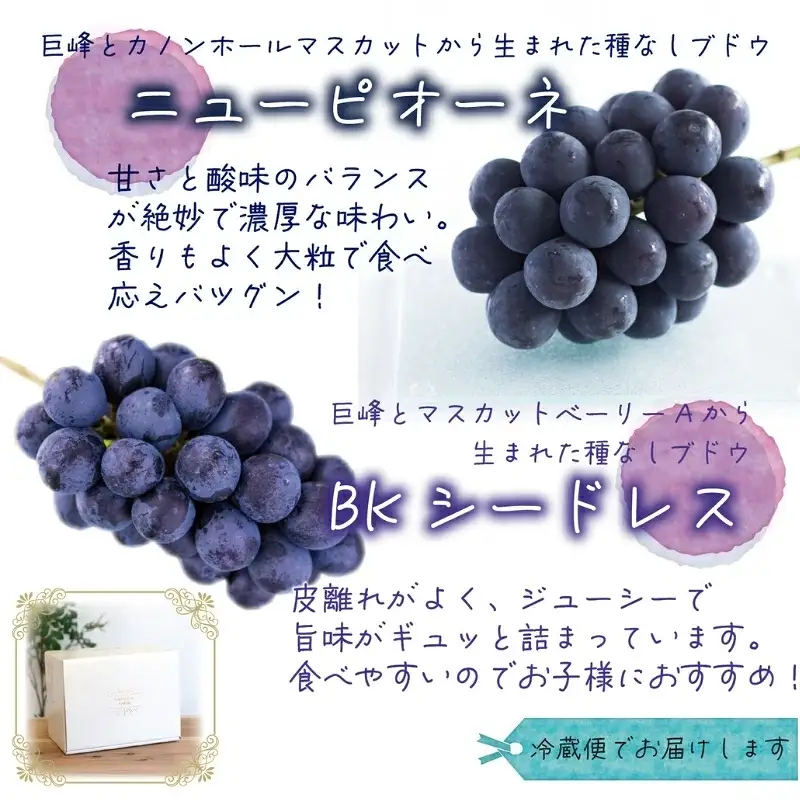 ぶどう 食べ比べ ニューピオーネ&BKシードレス 1kg(2房) 岡山県産ぶどう 【hana026-02】