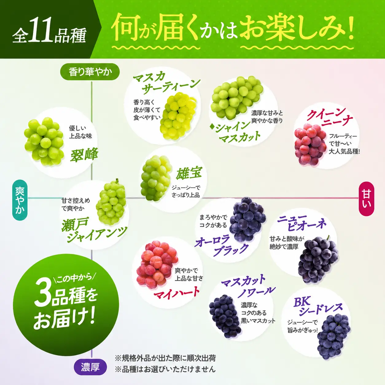 【訳あり】 岡山県産訳ありぶどう詰め合わせ 【hana018-02】