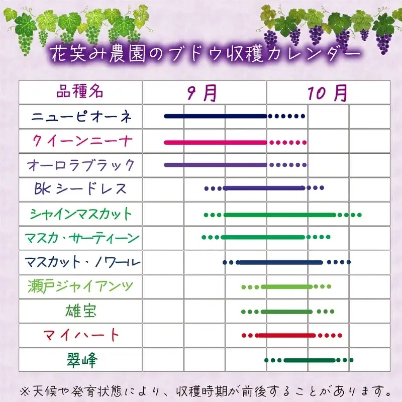 【2026年先行予約】 花笑み農園 岡山 『ぶどうの宝石箱』 ３種以上（18粒入り） 【hana050-02】