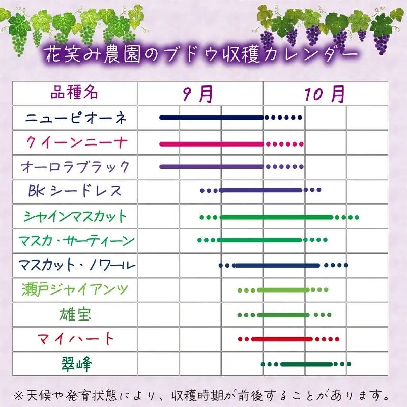 【2026年先行予約】花笑み農園　岡山『ぶどうの宝石箱』３種以上（36粒入り） 【hana051-02】