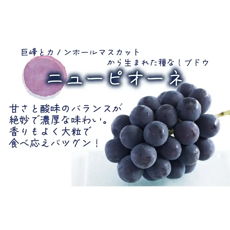 【2026年先行予約】花笑み農園　岡山の『ピオーネ&ラムピオーネジャム&飲む酢』 【hana071-02】