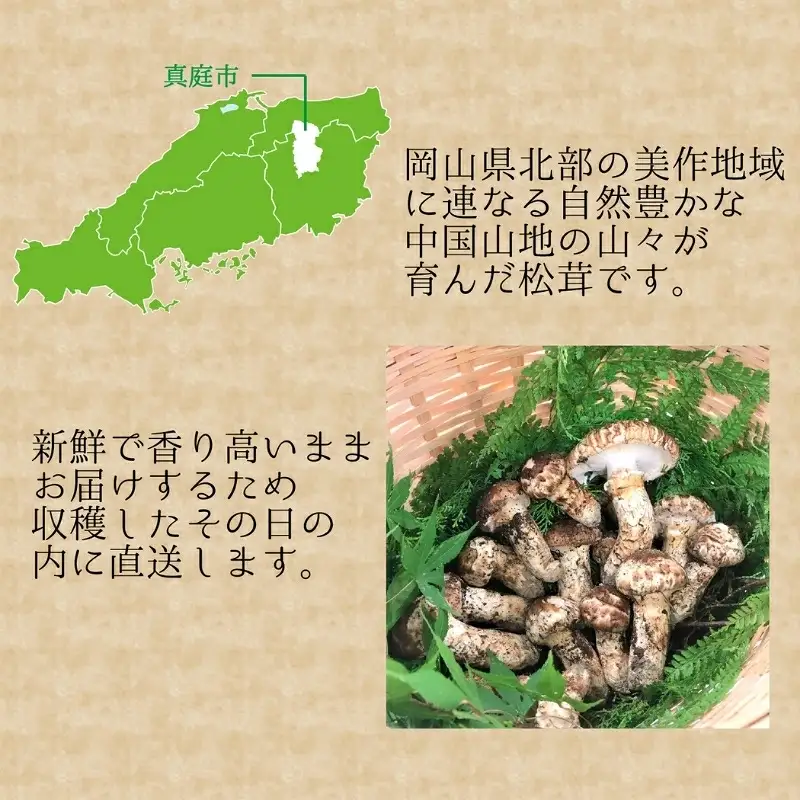 【2026年先行予約】花笑み農園　岡山の『松茸』100g 【hana077-02】