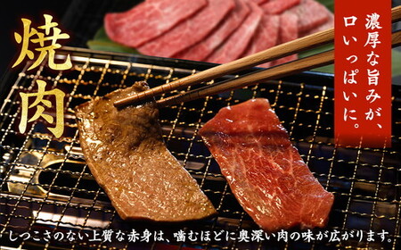 亀岡牛 赤身 焼肉用 600g 焼肉