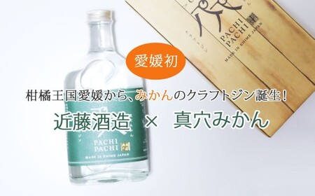 愛媛県初のみかんジン PACHIPACHI GIN（クラフトジン） 720ml ×1本 大容量 パチパチジン 【近藤酒造】