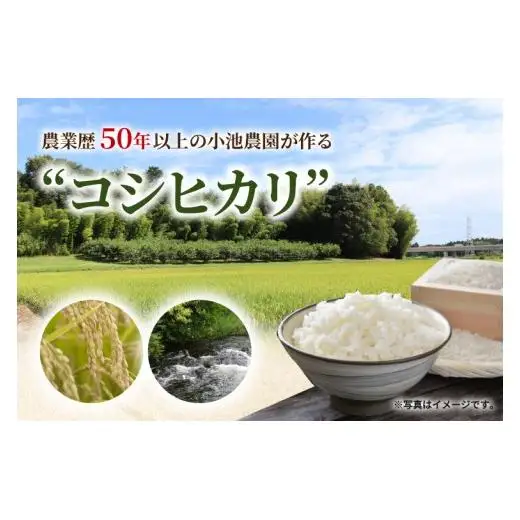 米 コシヒカリ 精米 5kg 令和8年産 こめ こしひかり 茨城県産 農家直送 先行予約 単一米 単一原料米 茨城県 阿見町 【2026年10月中旬より順次発送】（68-01）