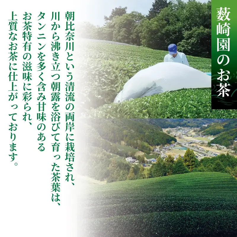 烏龍茶 ティーバッグ 10P × 35袋 静岡県 藤枝市 烏龍茶    