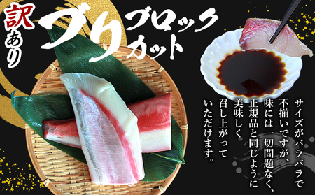 ＜訳あり 超冷薫加工 ブリ ブロックカット 約600g＞ わけあり ワケアリ 家庭用 超冷薫 新鮮 ブリ刺身 ぶりしゃぶ 魚介類 水産物 海鮮 海産物 国産 刺身 ぶり丼 ご飯のお供 贅沢 血抜き 株式会社SakuSaku 愛媛県 西予市 【冷凍】『1か月以内に順次出荷予定』USA0008