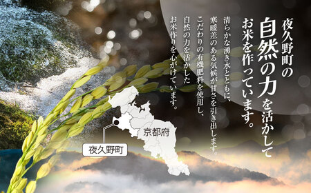 ＜令和7年産＞ 京都夜久野産 清雫(せいな) コシヒカリ 玄米 (10kg) ふるさと納税 福知山市 令和7年度産 先行 定期便 選べる 容量 回数 玄米 夜久野 京都 【fc-DB005-C】【合同会社夜久野清雫】