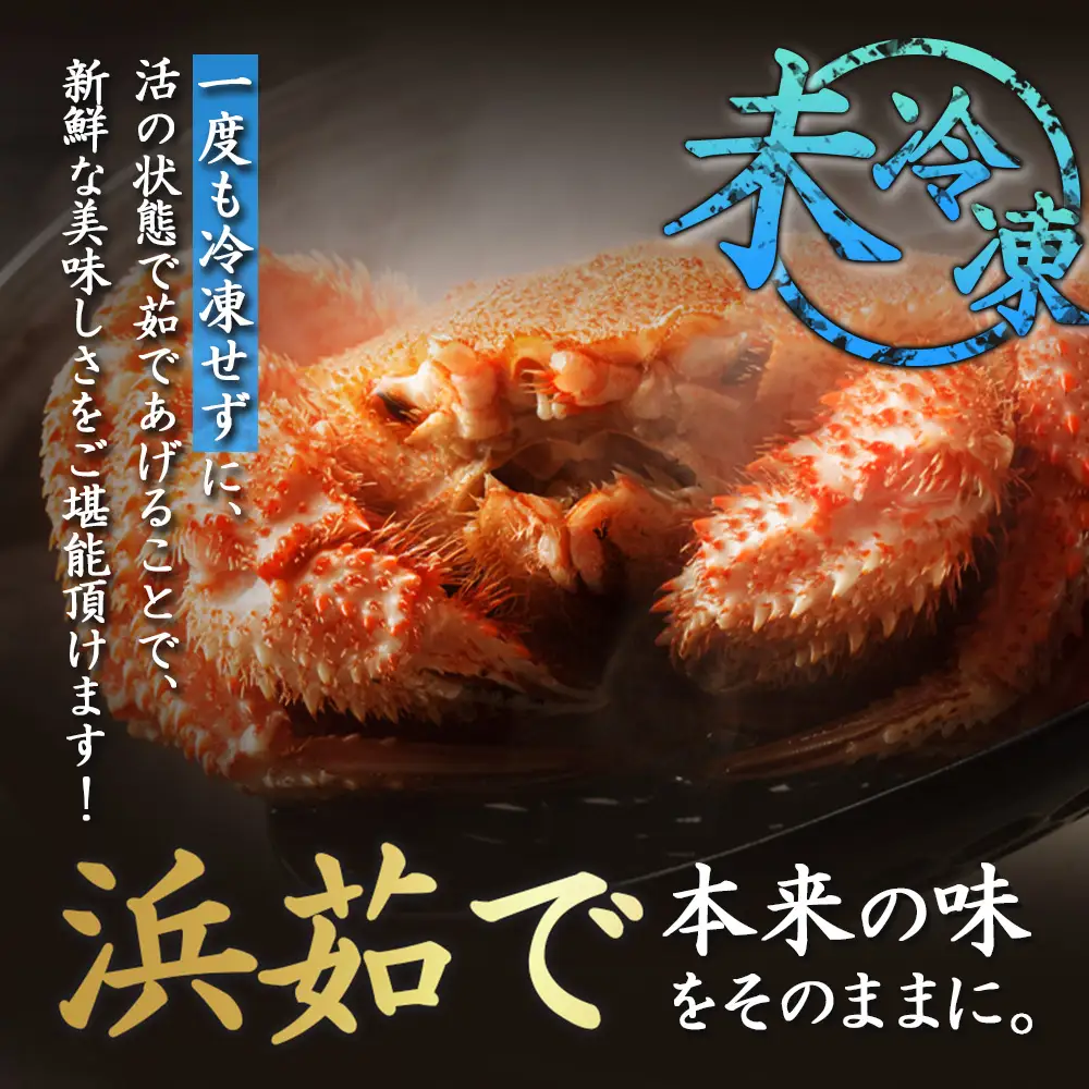 北海道オホーツク海産 朝ゆで毛ガニ 580g前後（冷蔵）【07146】