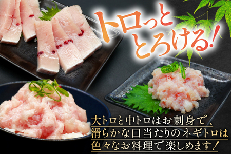 メカジキ  大トロ 中トロ ネギトロ 三種 セット 