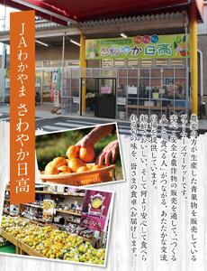 【糖度11度以上!】ゆら早生みかん「ゆらっ子」5kg ※2026年10月上旬～10月下旬頃に順次発送予定(お届け日指定不可) / 極早生 早生 由良町 和歌山県 柑橘 密柑 完熟 甘い ミカン 光センサー 柑橘 果実 くだもの フルーツ ブ JA認定ブランド品 糖度11度  先行予約【jahd003-r-5】