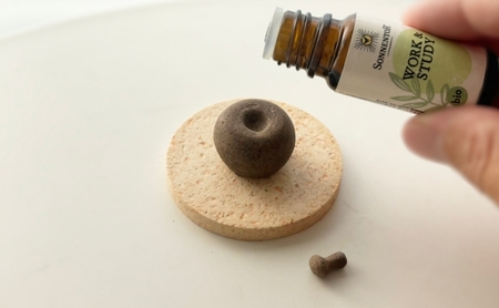 ディフューザー AROMA Stone（りんご型） アロマストーン 精油 アロマオイル インテリア コーヒーかす みかんの皮 にんじん皮 えごま搾りかす たまねぎ皮 茅ヶ崎市 神奈川県 コーヒーかす