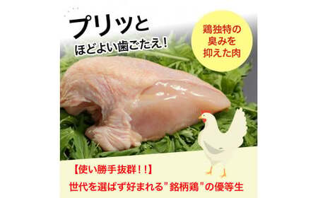 高知育ちの銘柄鶏 四万十鶏 むね肉 2kg（1kg×2袋）国産 国産鶏肉 肉 お肉 鶏肉 とりにく 鳥肉 鶏ムネ 鶏むね 冷凍 カレー シチュー 真空包装／Adf-B31 鶏むね 鶏胸 むね